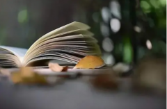 热爱不是成功学但