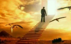 成功人特点这类人