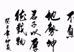 对于成功学金句成功应具备的重要品质