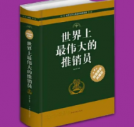 推销式成功学应用