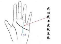 成功学拍手掌股市行情学习专业书籍