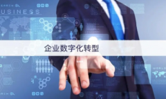 企业转型成功用到