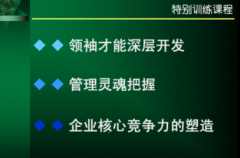 研究商业成功学课