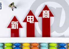 电商发展中电商成功模式主销售模式