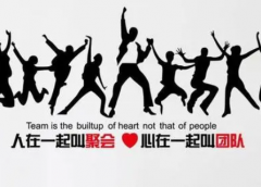 主要成功团队特征分享成功创业团队