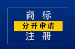 商标申请成功公司商标申请所需文件